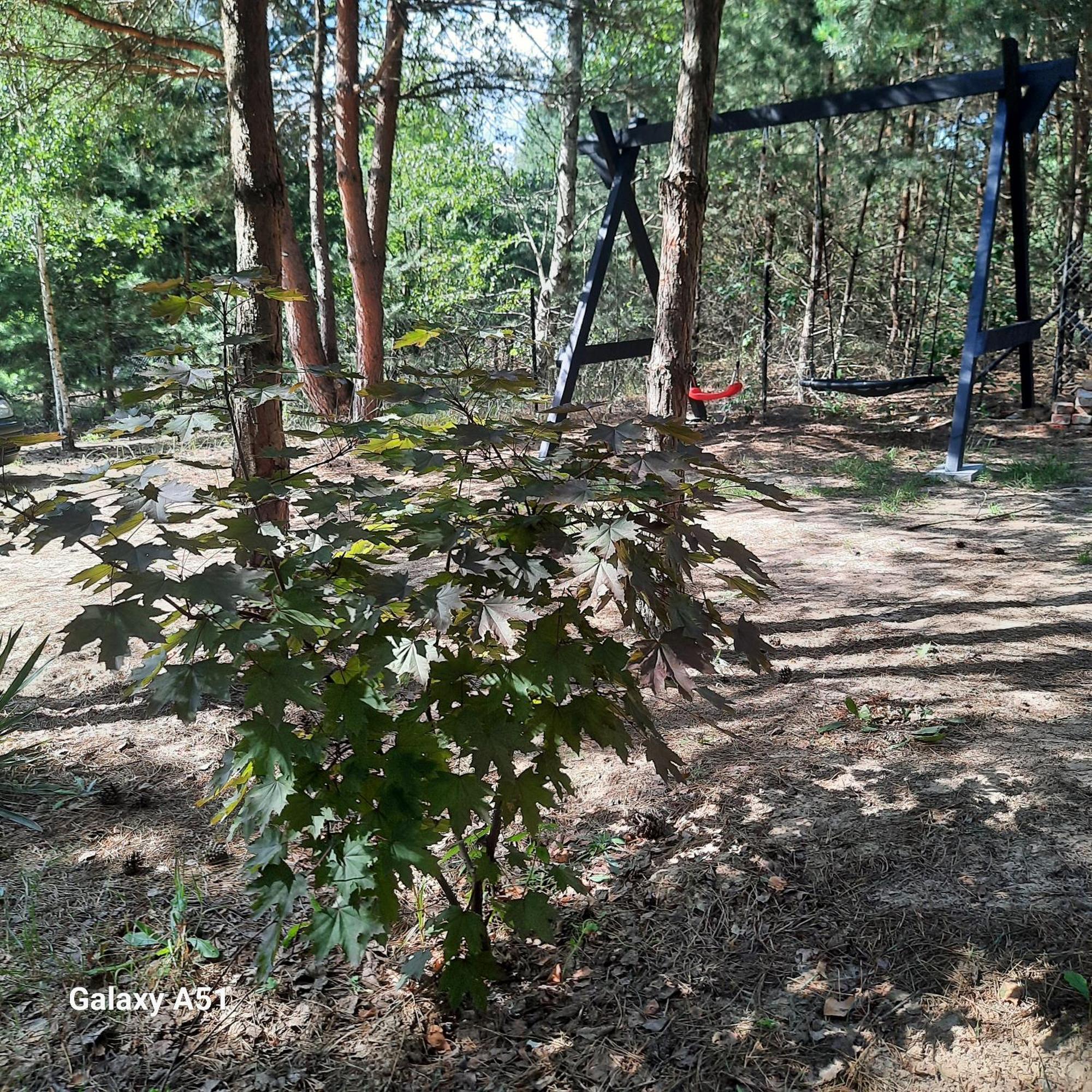 Lesniczowka Gorzewo